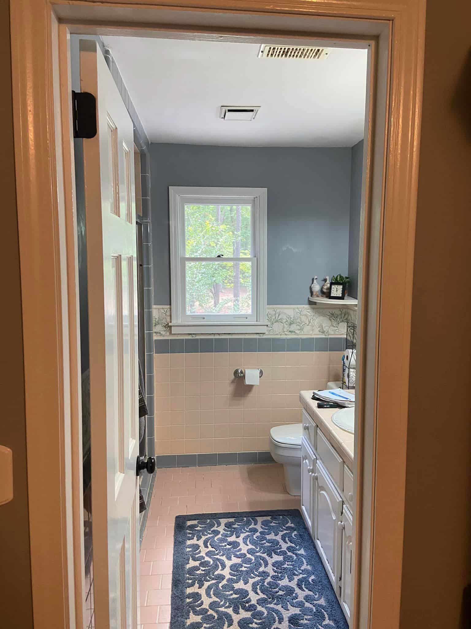 Bathroom Remodel